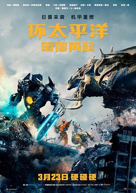 雾港回声电影缩略图